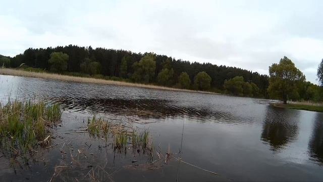ХИТРЫЙ КАРАСЬ,РЫБАЛКА ВЕСНОЙ,ЛОВЛЯ ВЕРХОВКИ(СЕНТЯ)