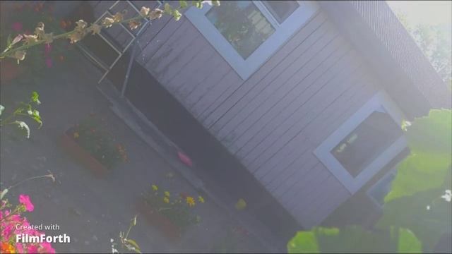 мой виноградник 3 часть 2021г