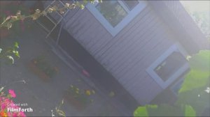 мой виноградник 3 часть 2021г