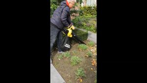 Review Kärcher Accu bladblazer BLV 18-200