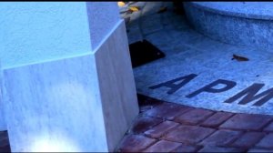 Самый лучший город на Земле, Краснодарский край