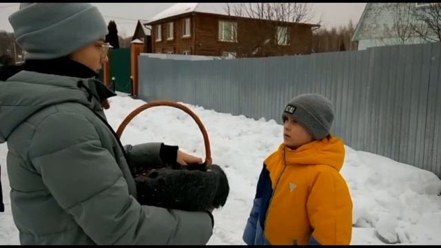 Отдам в хорошие руки, медиатон 4 тур