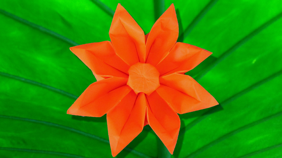 Оригами: Цветок герберы