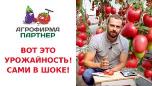 ВОТ ЭТО УРОЖАЙНОСТЬ! САМИ В ШОКЕ!