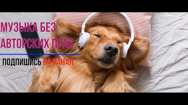 Музыка без авторских прав |2021| music без ап новая музыка #музыкабезавторскихправ #музыкабезап