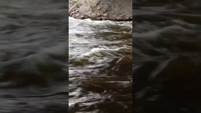 Панорама с крыши, бурная река, белка смотреть онлайн