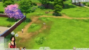 Обзор города Ньюкрест The Sims 4