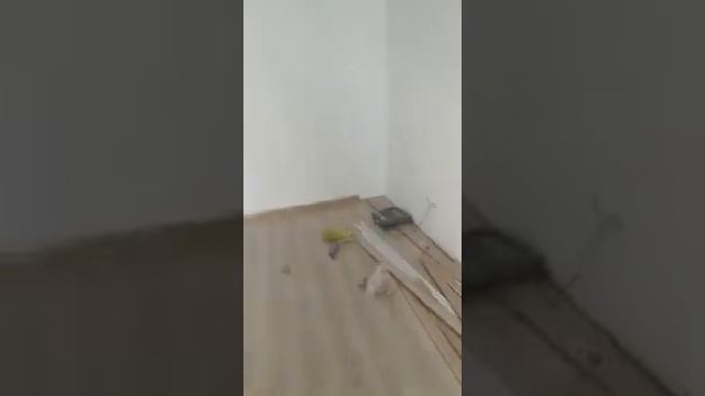 Продажа. 1 комнатная квартира (пустая) ЖК Памир смотреть онлайн