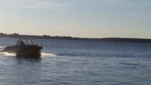 Орион 46 Evinrude E tec 30