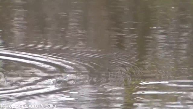 ЭТА СНАСТЬ УБИЙЦА КАРАСЕЙ))) КАК НЕ НУЖНО ТАСКАТЬ ЛАПТЕЙ!!!