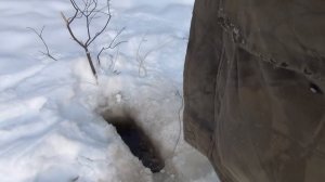 Где раки зимуют!? Ловим раков зимой.