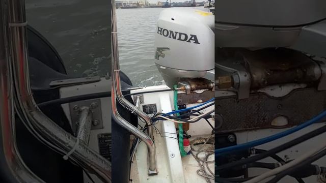 50hp Honda 4 stroke running tilt and start