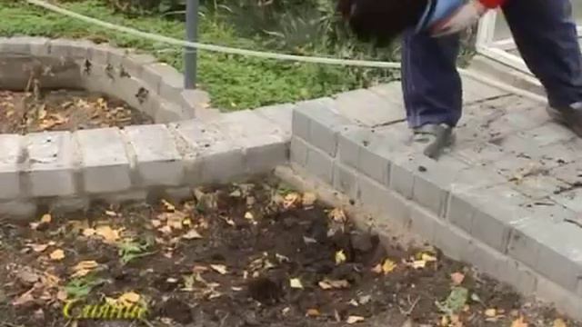 Агротехника природного земледелия