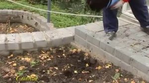 Агротехника природного земледелия