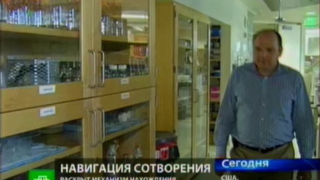 Сперматозоиды поработают на науку смотреть онлайн