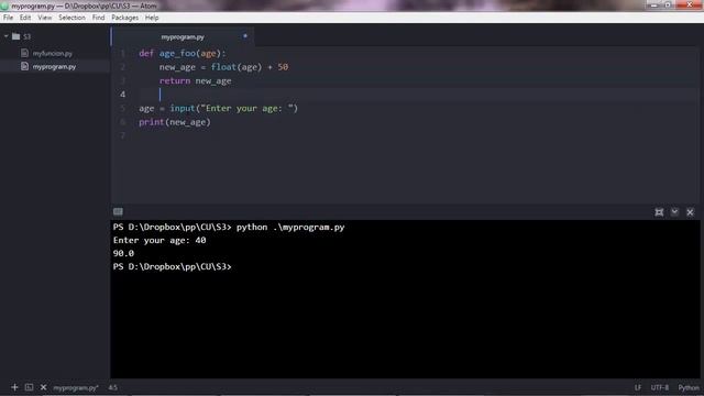 Python Tutorial for Beginners | User input in Python | Command Line Input || #TheWebSeeker #Python