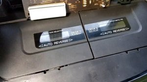 Cobra ED77 Display Lamp