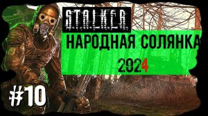 Его Величество Стрелок. Народная Солянка 2024 OGSR /НС 2024 OGSR Прохождение #10