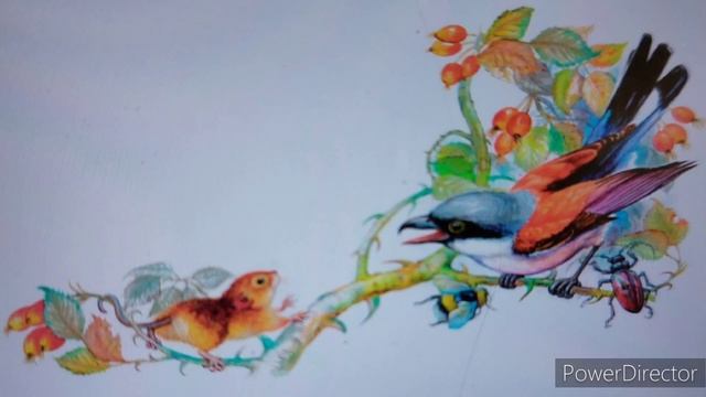 В. Бианки "Мышонок Пик" Соловей-разбойник смотреть онлайн