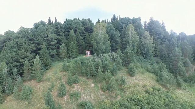 Томская область.   #томск  #намашине  #отдых