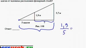 Подобие треугольников и пропорция
