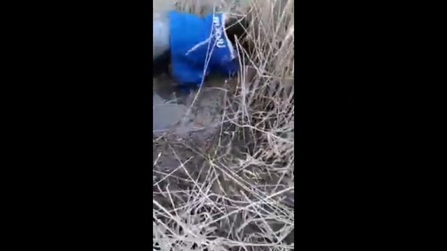 ХОЖЕЛИ ИЗЕЙКЕШТЕН УЛКЕН БАЛЫК ШЫКТЫ...