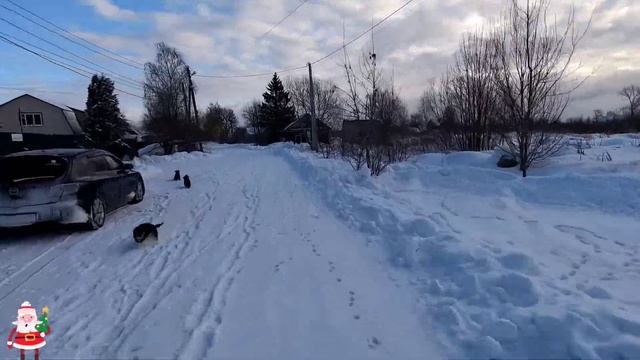 Avantis 300Pro Зимой На Шипах смотреть онлайн