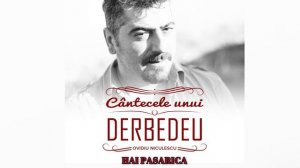 3 Ovidiu Niculescu Hai pasarica