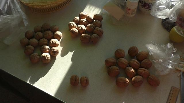 Орехи грецкие в Пензе смотреть онлайн