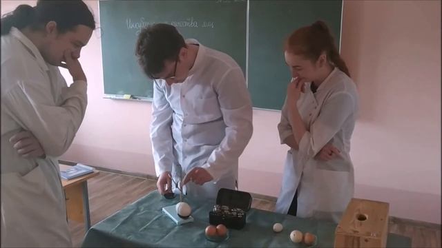 Оценка инкубационных качеств яиц смотреть онлайн