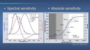 Dr. Mark Rea at UNC Neuroscience of Youth Depression 2016