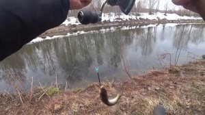 Открыл летний сезон на пикер. Рыбалка в Свердловской области