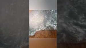 Очень красиво! Супер! Круто! Ясень, карагач, #murtagach!