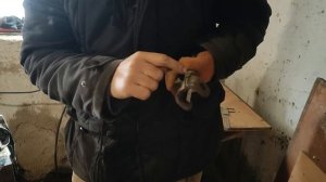 Лучшая универсальная регулируемая сцепка для мотоблока.