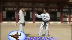 ТВ КНДР  Тхэквондо традиционное боевое искусство Кореи