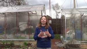 Совместимость овощей в теплице?