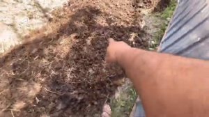 КАК ПРАВИЛЬНО НАЧАТЬ ПРОИЗВОДСТВО  БИОГУМУСА