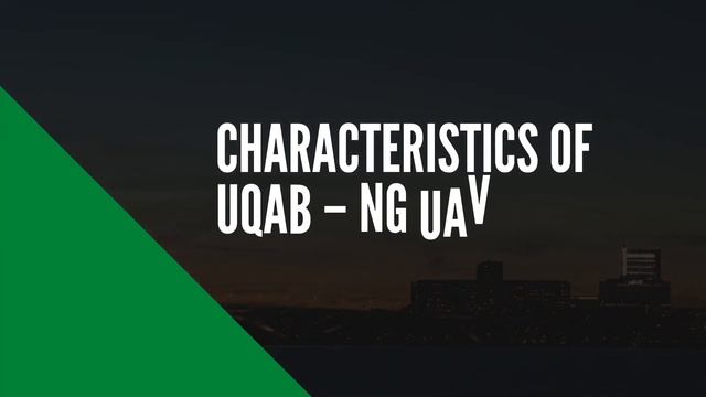 UQAB NG Unmanned Aerial Vehicle / GIDS / Pakistan