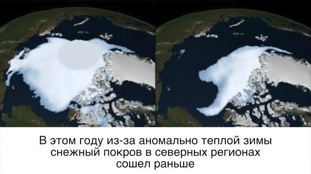 Жара в Сибири: причины и последствия: новости глобальное потепление