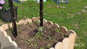 #жизньвдеревне .Арка для клематиса, #цветы, заготовки