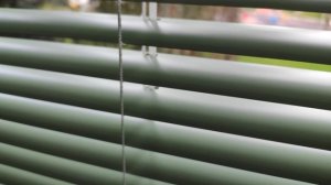 Горизонтальные жалюзи Венус, 25 мм, алюминий, зеленый цвет, с направляющей леской. От компании СВИЛ