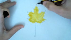 Как нарисовать кленовый лист маркерами?