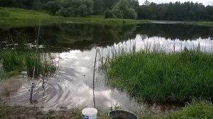 Рыбалка на реке Нерль на фидерную удочку в июле ловим плотву и подлещика!