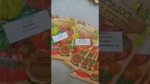 Семена от Дмитрия Гусева и мои рассуждения .