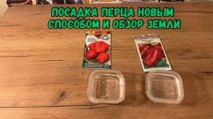 посадка перца новым способом и обзор земли