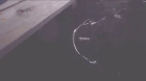 Шамотный легковес своими руками. 2-я часть.