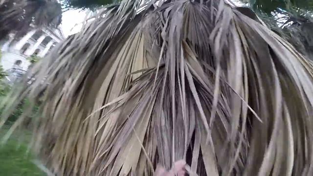 Выживание - заброшенный санаторий Орджоникидзе в Сочи смотреть онлайн