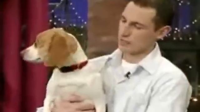 Иллюзия смерти, как животные притворяются мертвыми смотреть онлайн