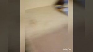 крем мёд с прополисом