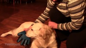 Перчатка Для Вычесывания Шерсти Собак и Кошек